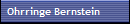 Ohrringe Bernstein