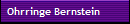 Ohrringe Bernstein
