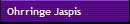 Ohrringe Jaspis