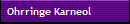 Ohrringe Karneol