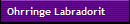 Ohrringe Labradorit