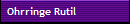 Ohrringe Rutil