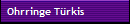 Ohrringe Trkis